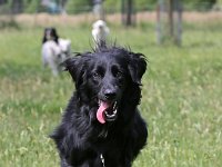 Puppys van Bliss040622-0021